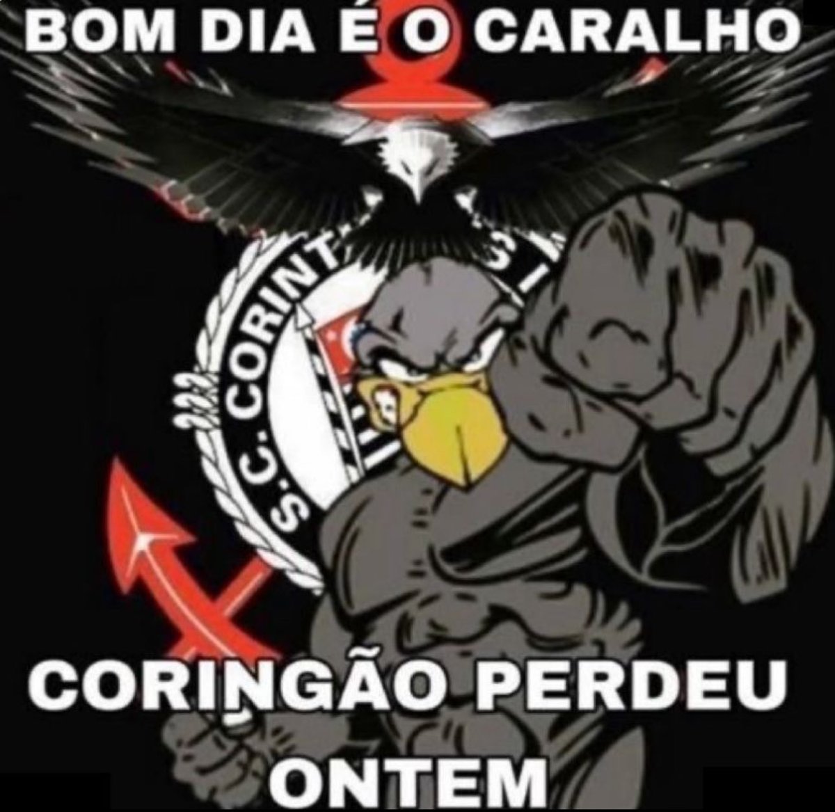 Gustavo 🦅 tweet media