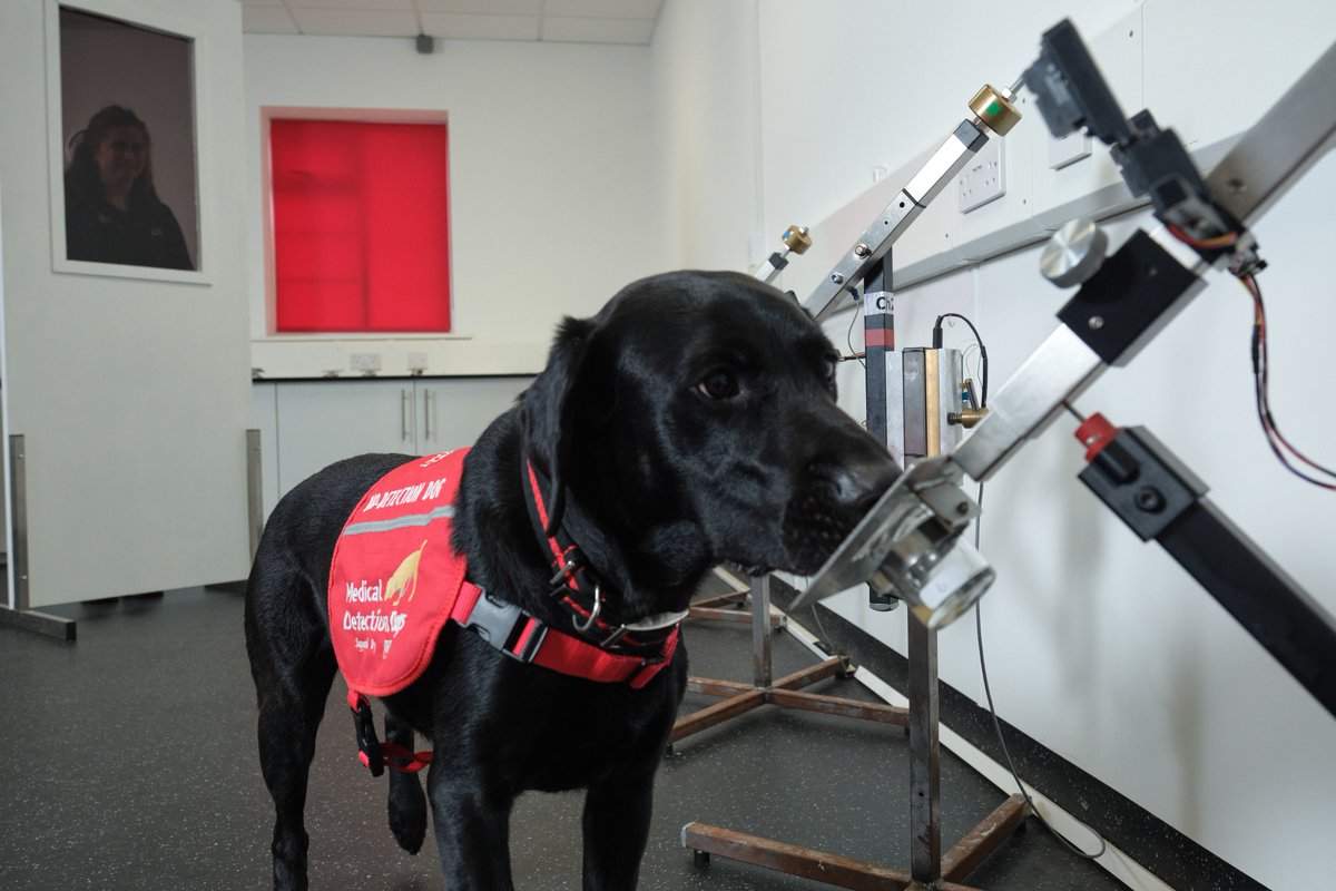 Medical Detection Dogs tweet media
