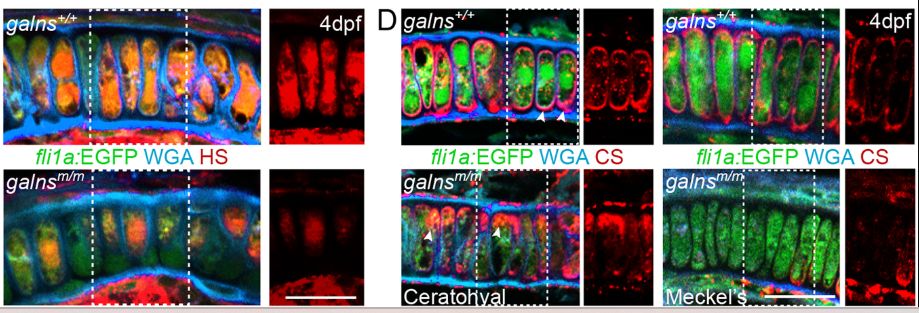 DMM Journal tweet media