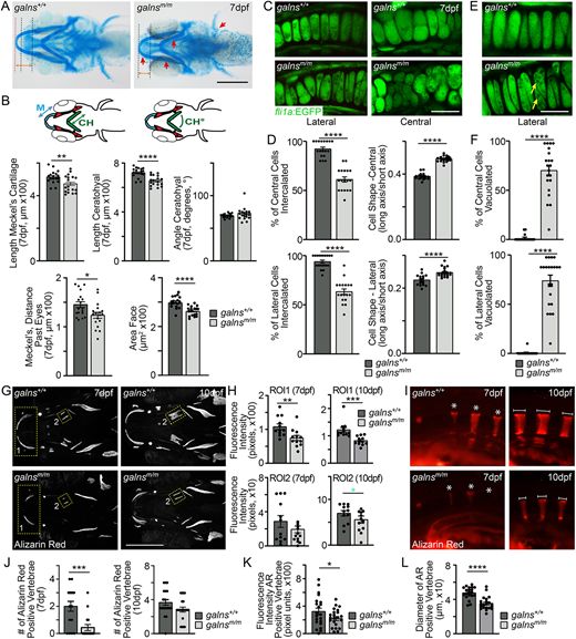 DMM Journal tweet media