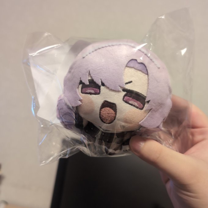 一日遅れたけど可愛いのが届いた 