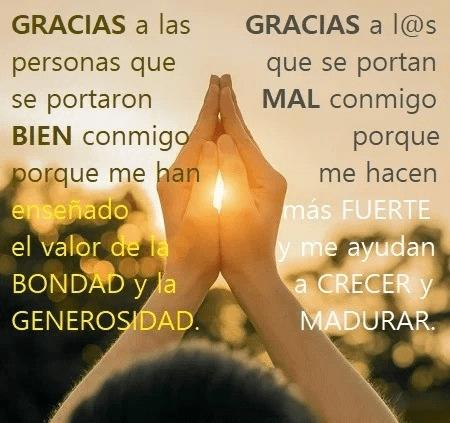 Manuel Bou sleiman tweet media