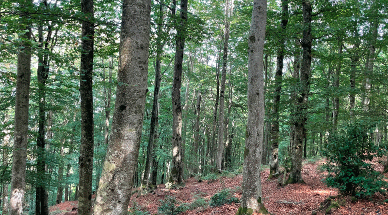 Observatoire MP tweet media