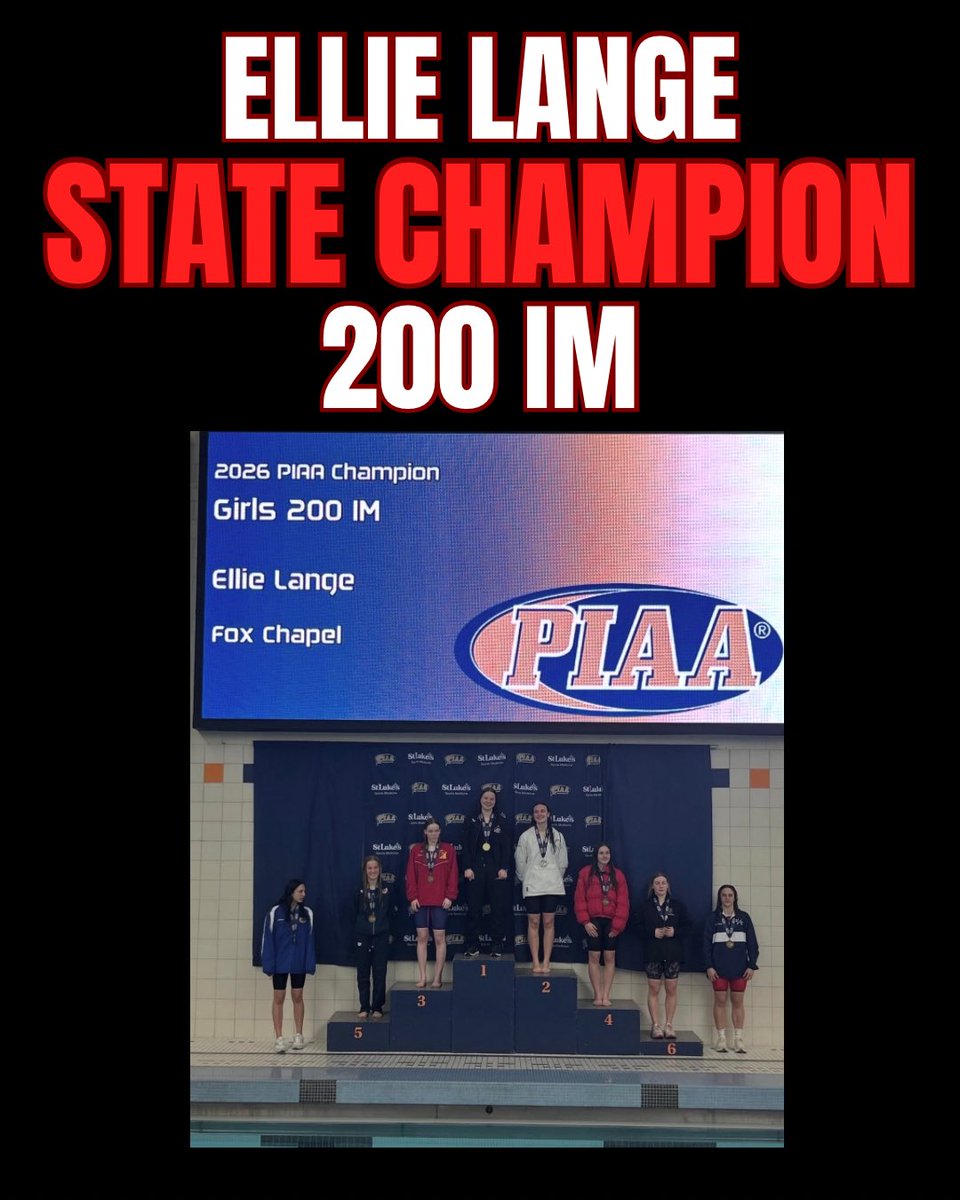 fcswimdive tweet media