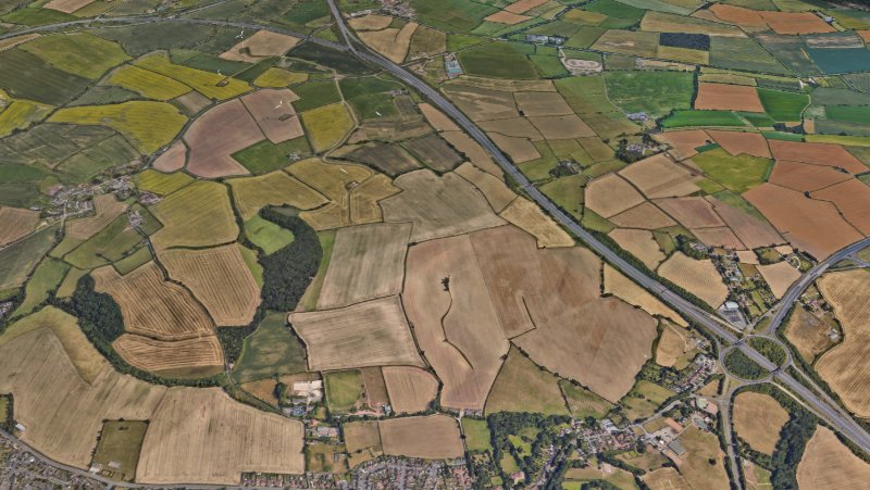 Tom Austen tweet media