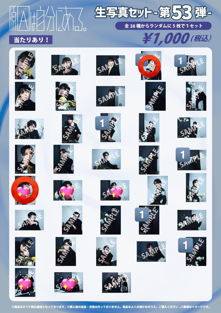 わんにゃん🎶✨ tweet media