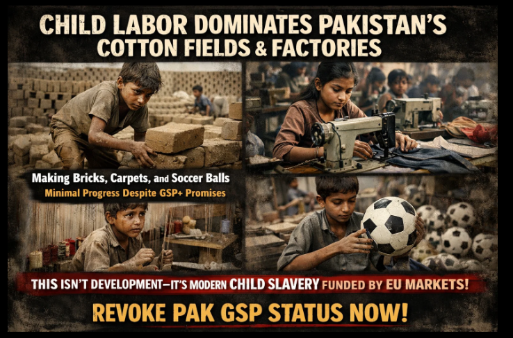 Pakistan has enjoyed EU GSP+ duty-free trade since 2014. Yet child labour persists in cotton fields, textile factories, brick kilns and sports goods production. This is the harsh reality of a failing system. Time to review and revoke Pakistan’s GSP+ status. #LPGCrisis #FuelCrisis