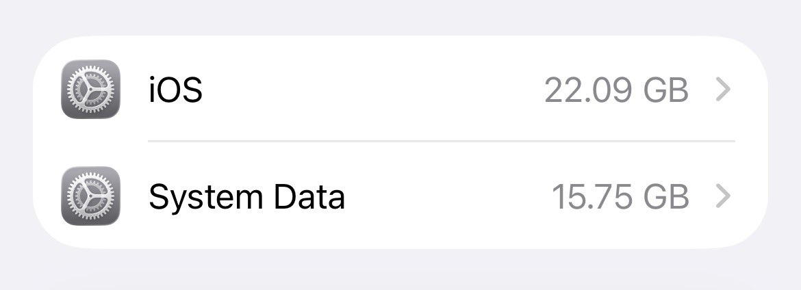 Matt Salvano tweet media