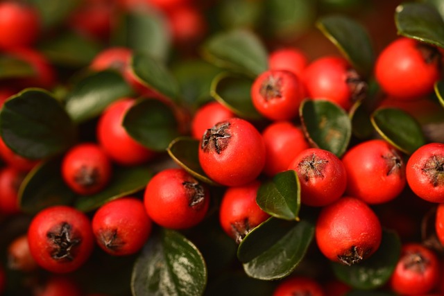 Ryan Mendez tweet media