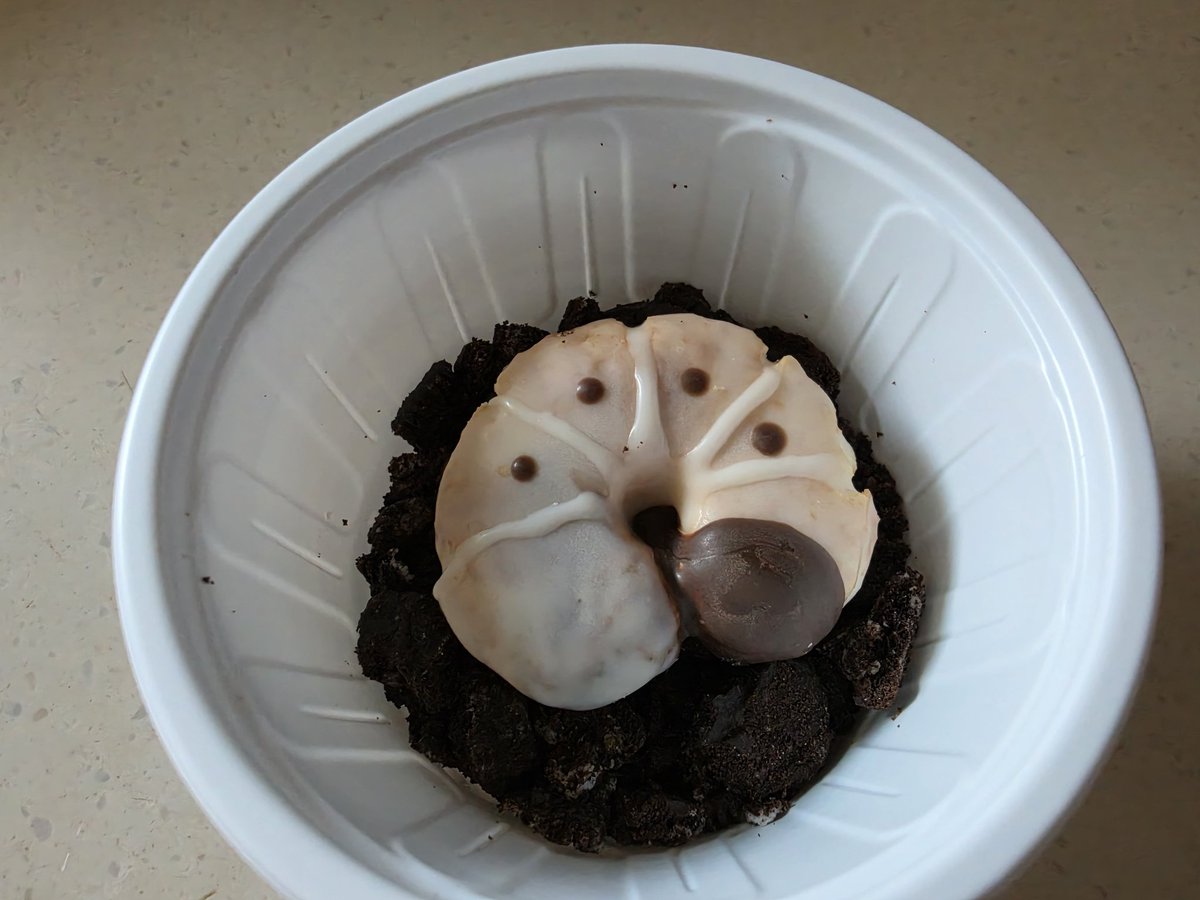 아기들사진올리는곳🐛 tweet media