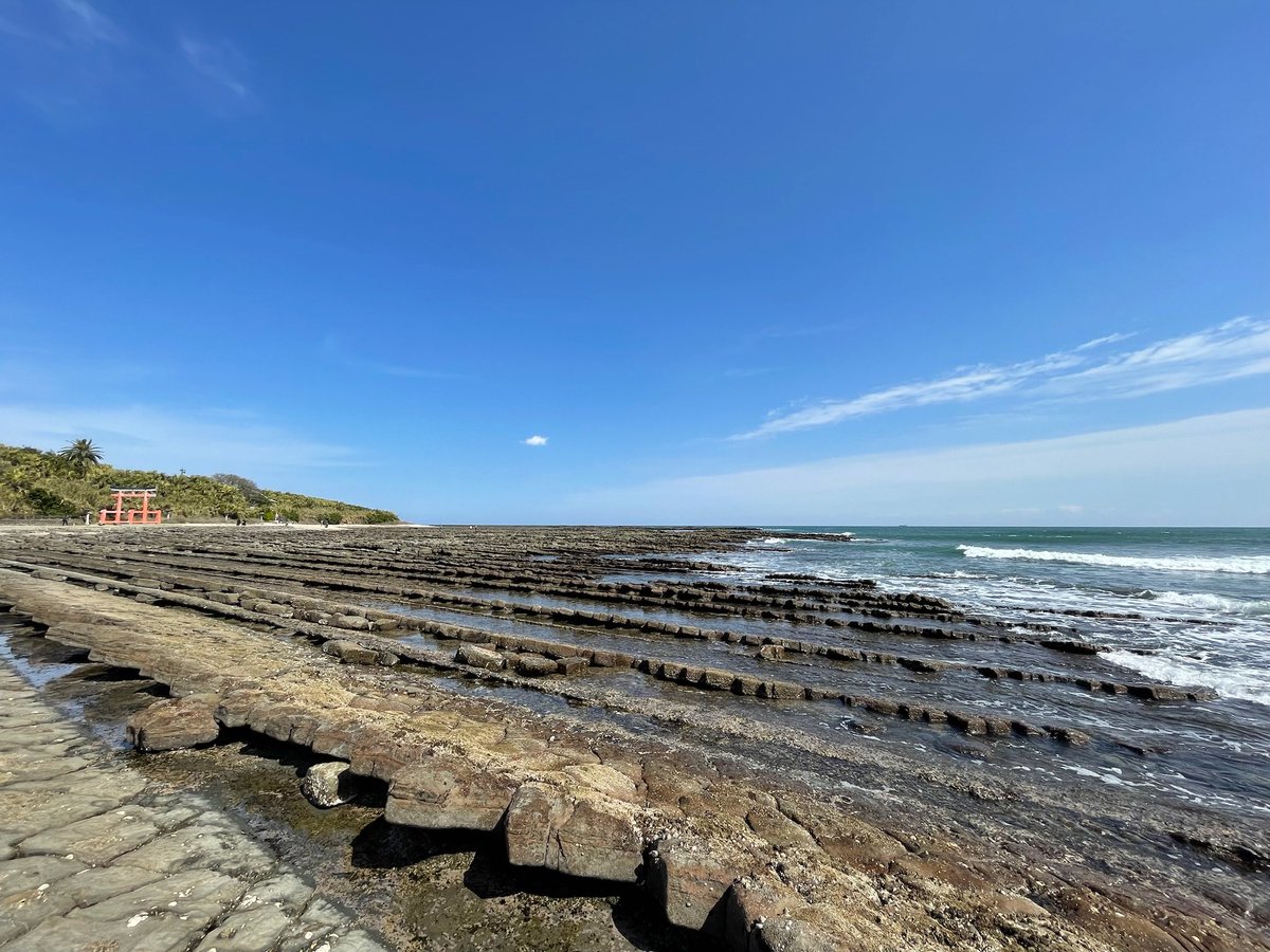 とも蔵 tweet media