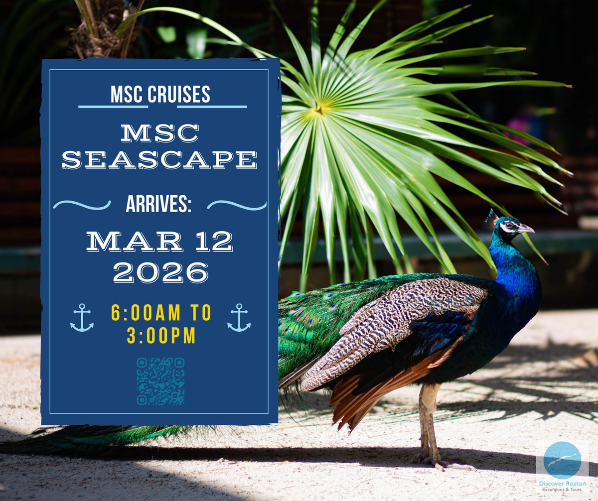 Port of Roatan welcomes the MSC Seascape today! 

🛳 Schedule: March 12, 2026 -  6:00am to 3:00pm (GMT-6)

➡️ 2026 Port Schedule: hi.discoverroatan.net/kFSt

#travel #cruise #caribbean #honduras #roatan #msccruises #mscseascape #portofroatan #discoverroatan