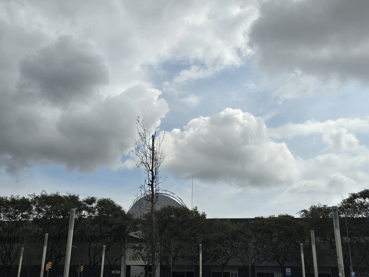 M.Isabel tweet media