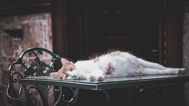 Tina Walker tweet media