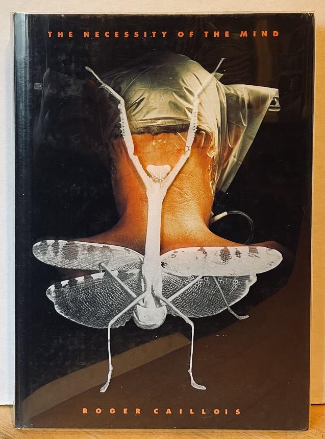 Guy Mackinnon-Little tweet media