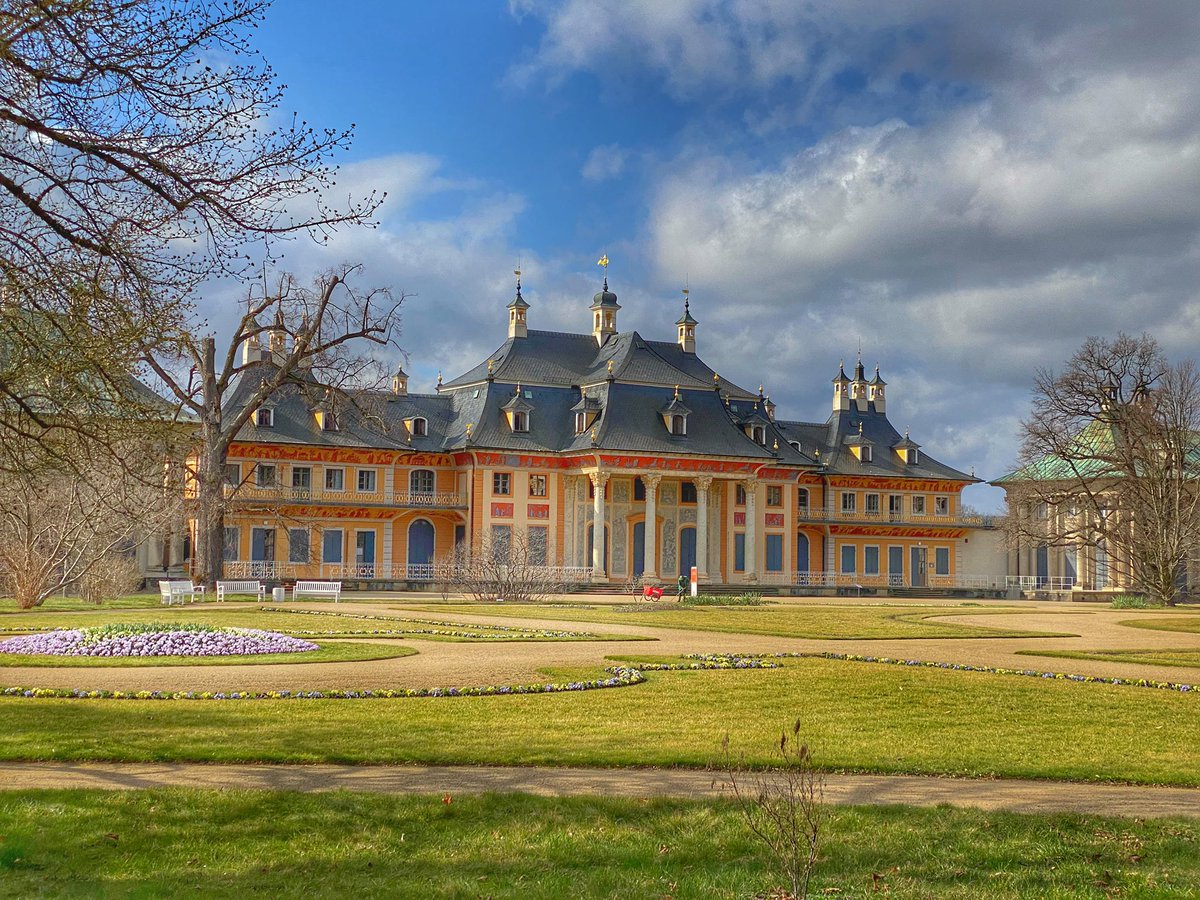 Hochtouren's tweet photo. Frühling im Schloßpark Dresden-Pillnitz heute: die ersten frühblühenden Azaleen blühen lila, ebenso die Krokusse; im Lustgarten werden die Beete bepflanzt https://t.co/hzgBhUrhqm