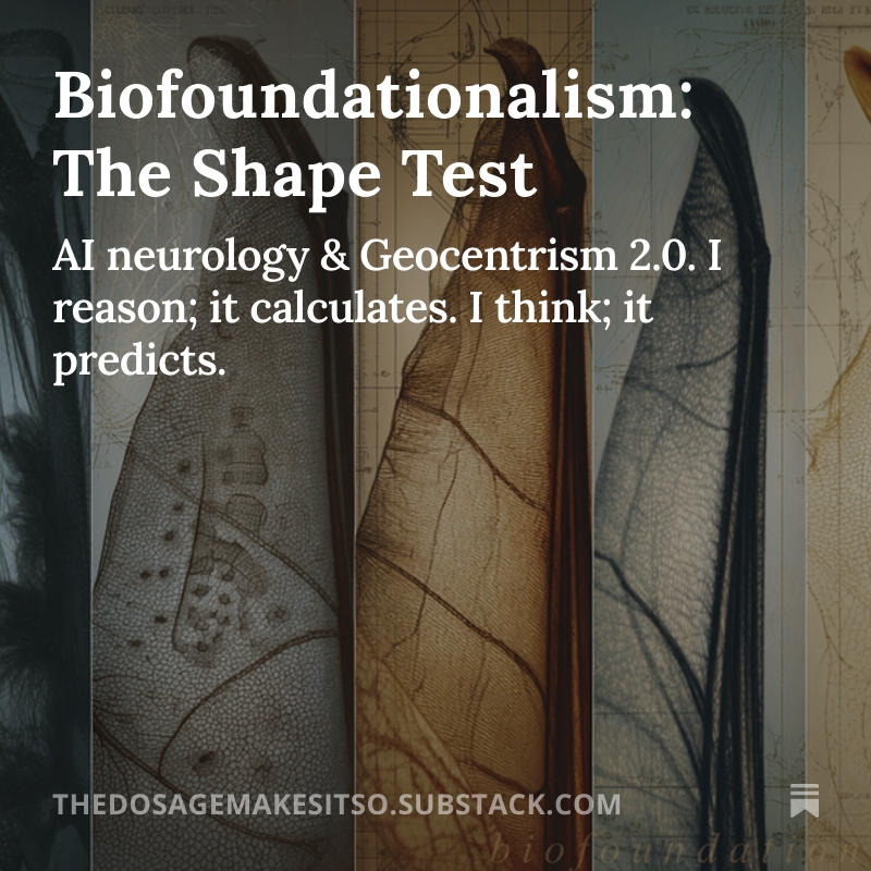 𝐃𝐦𝐢𝐭𝐫𝐲 (𝐬𝐚𝐥𝐮𝐭𝐚𝐫𝐲.𝐢𝐨) tweet media