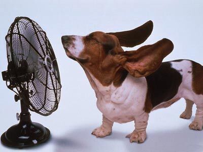 DTNEtiquette's tweet photo. Heads up and try to remain cool in the face of adversity and testy, impatient people! Remember, civility wins! ~ #DTN #SelfRegulation #WhatsUrPatientLevel #CivilityRules https://t.co/JX0qehZSUV