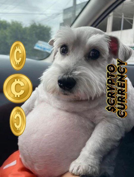 Frothless tweet media