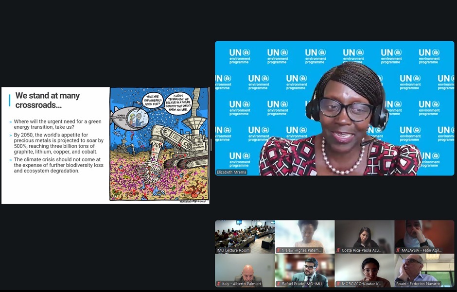 IMO-IMLI tweet media