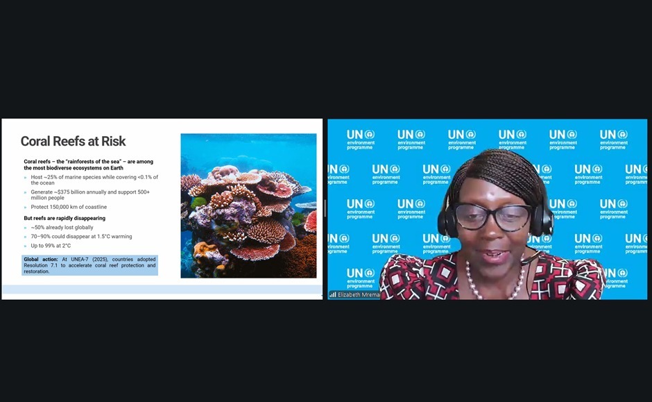 IMO-IMLI tweet media