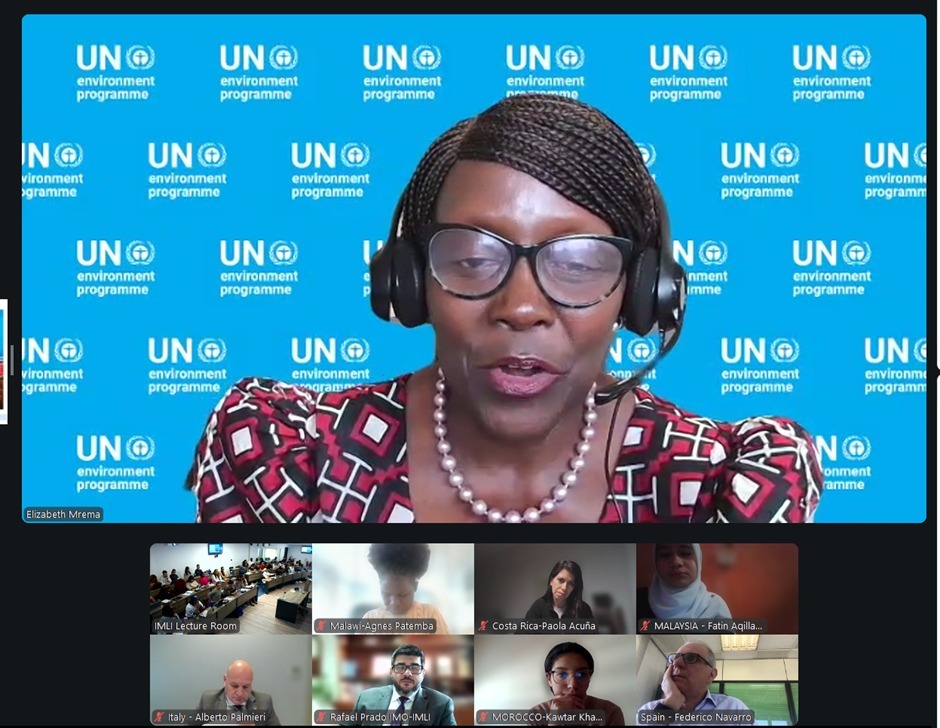 IMO-IMLI tweet media