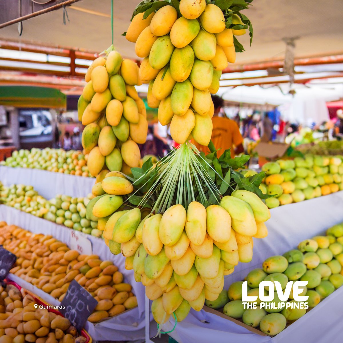 TourismPHL's tweet photo. Guimaras mangoes, some of the sweetest in the Philippines, are in season in March. In 2025, a record 13 tons of mangoes were allocated for the Manggahan Festival, held every May.🥭
#DOTPhilippines #BagongPilipinas #LoveThePhilippines https://t.co/jWNhxOXa8s
