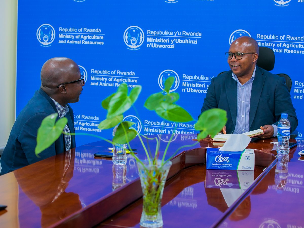 RwandaAgri's tweet photo. Today, Hon. @T_ndabamenye met Matieyedou Kanlambigue, Rep of @IITARWANDA. They discussed advancing the agricultural sector through integrated regional research for development, strengthening researchers’ skills, &amp; aligning @IITA_CGIAR’s plans with national agricultural priorities https://t.co/blIkB8ROep