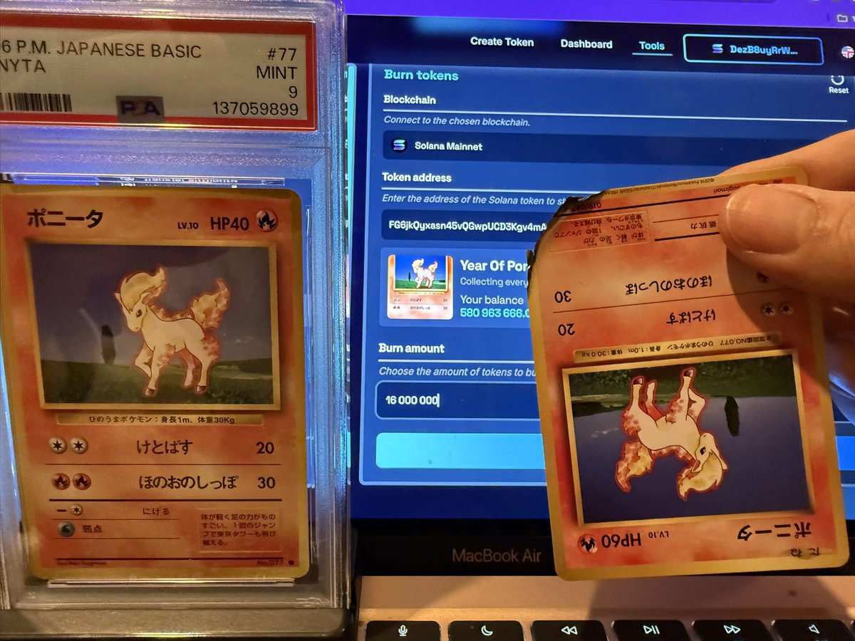 Ponyta King tweet media