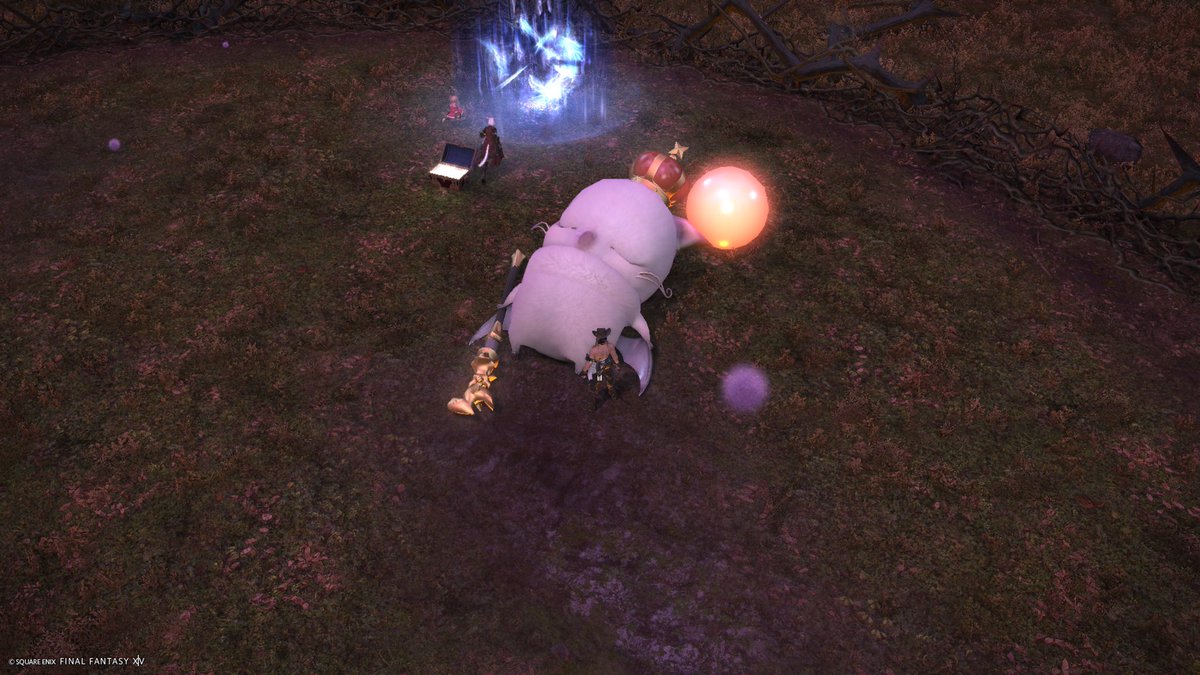 今日の討滅ルーレットに王様が当たりました😊