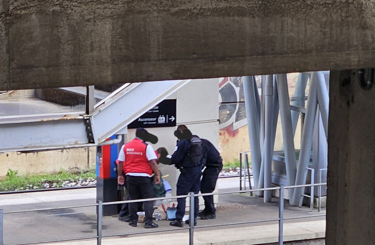 Samuel Collin tweet media