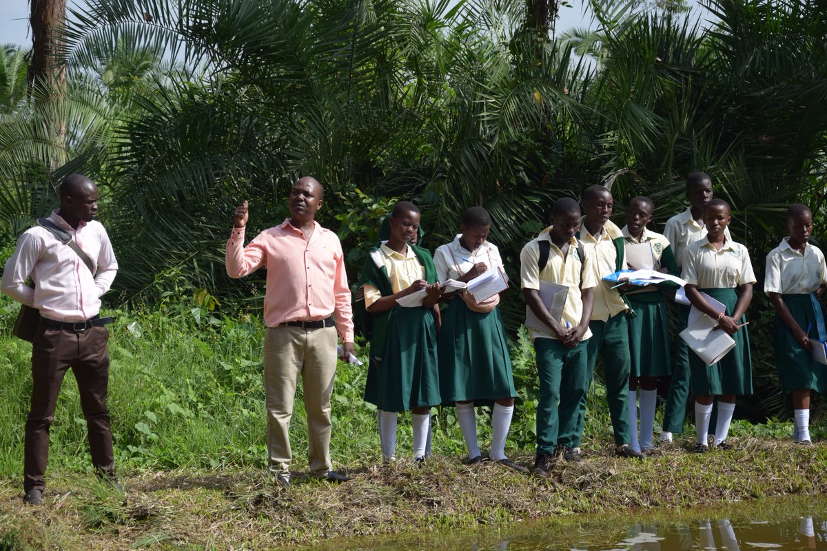 Bulindi ZARDI tweet media