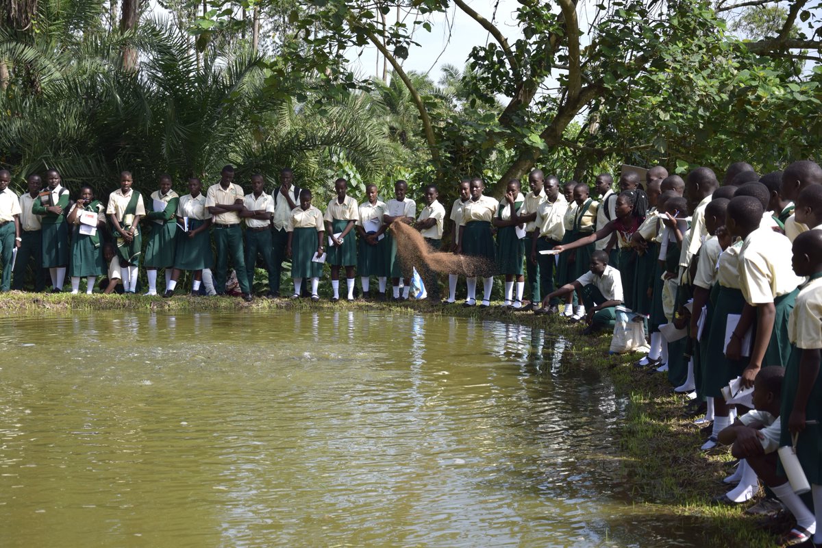 Bulindi ZARDI tweet media