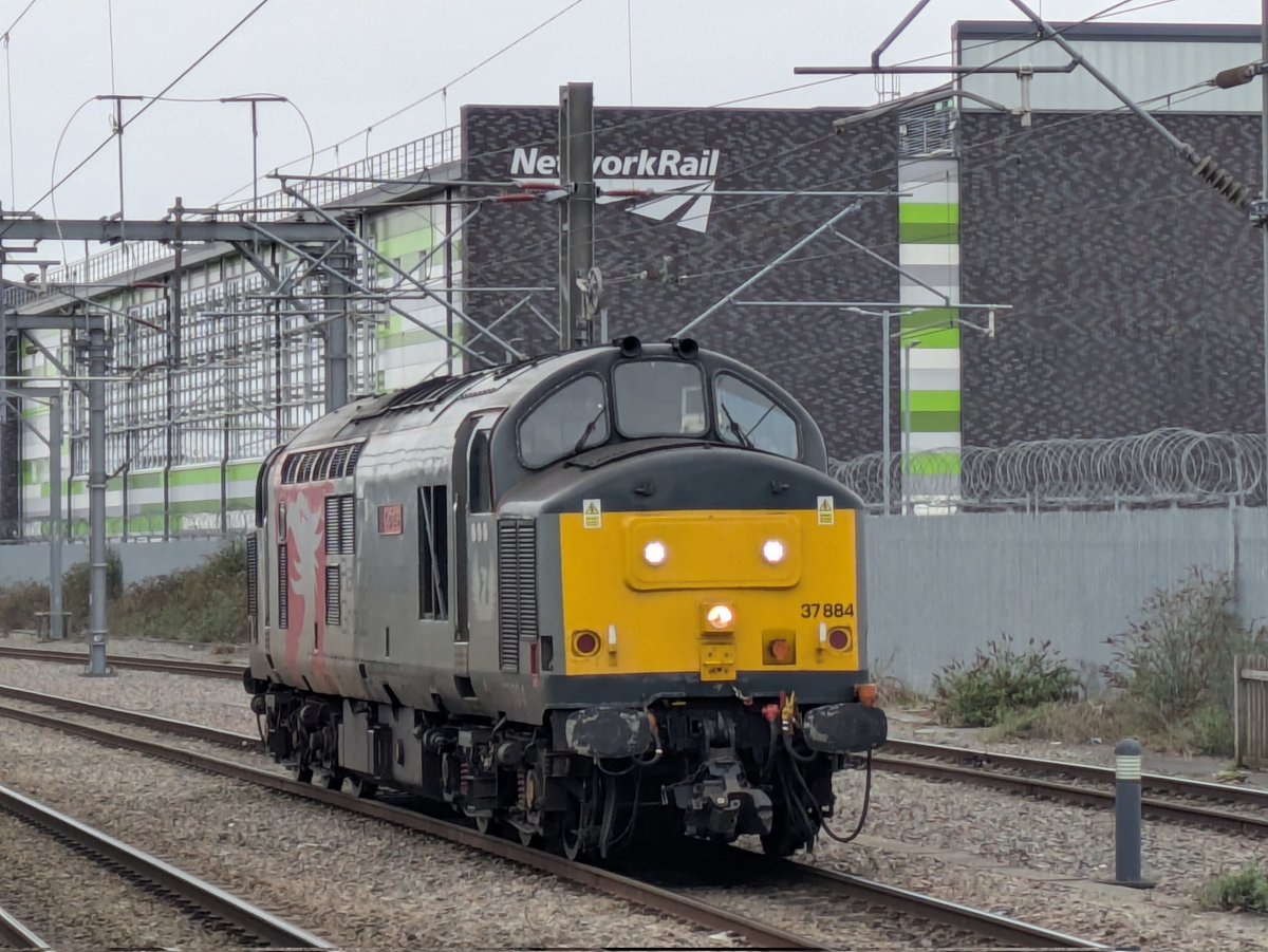 SteelCityDog_'s tweet image. #Class37 37884 "Cepheus" is snapped at Rugby this afternoon, I believe off to collect some more 455s and take them to meet their maker.

#ThirtySevenThursday #TractorThursday