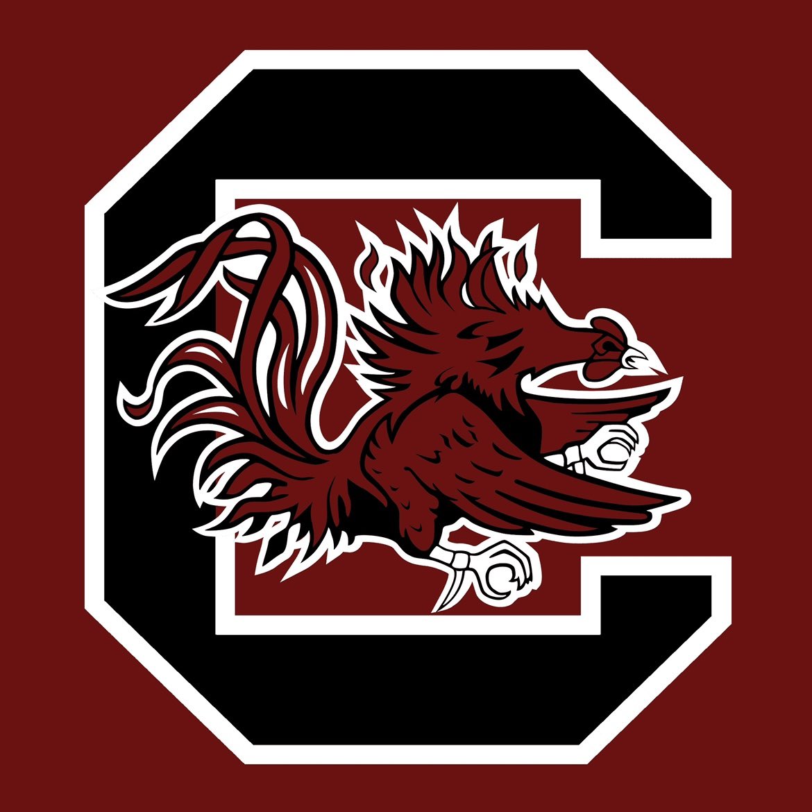 CollegeFBonX's tweet photo. It’s South Carolina day here at College Football Zone! If you’re a Gamecock fan like this and follow along for a day full of Gamecock content! https://t.co/TUwczmkf7R