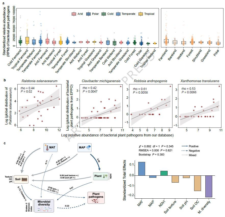 Prof_Braj_Singh's tweet photo. In a new paper in @NatureComms - we 
1. provide first global map of dominant bacterial plant pathogens
2. show microbial diversity, SOC, some Streptomyces, AM fungi associated with low pathogen prevalence
3. Many pathogens to increase under future climates
https://t.co/aprRIwe8Yq https://t.co/YQORsEGXq7
