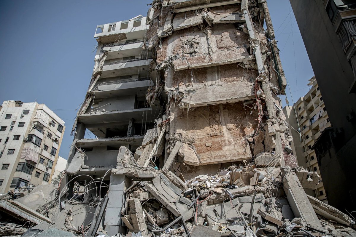 Sally Hayden tweet media