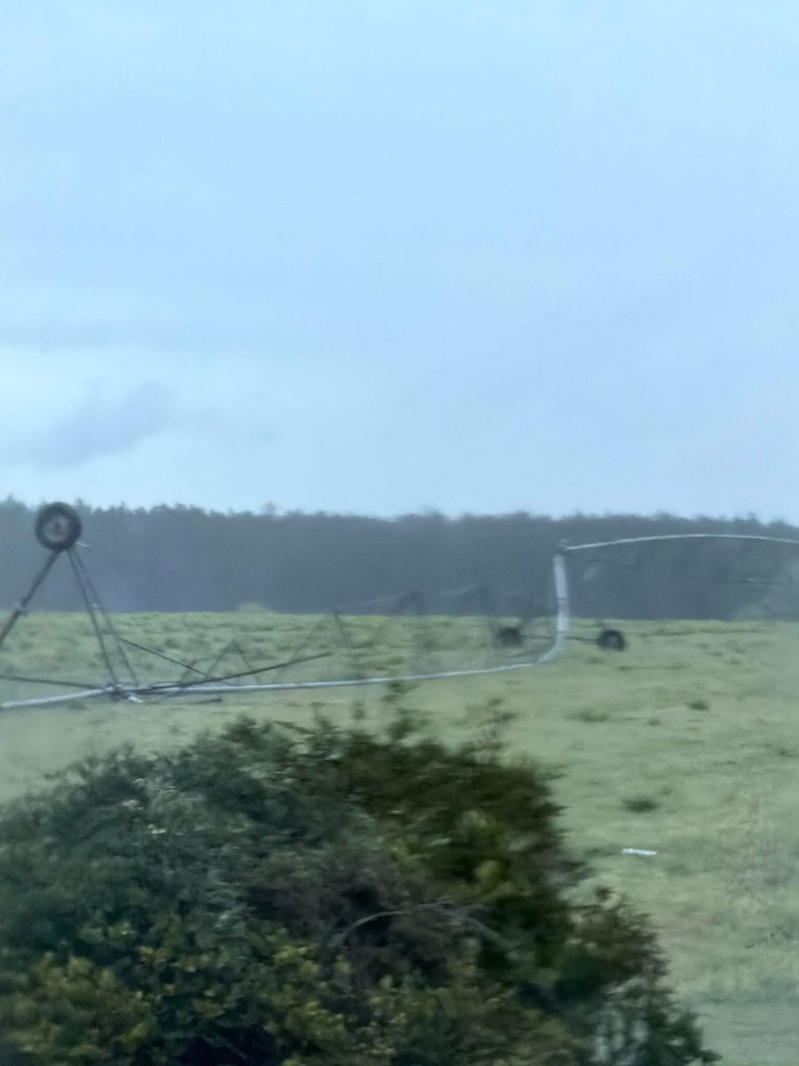 Kerri Copello tweet media