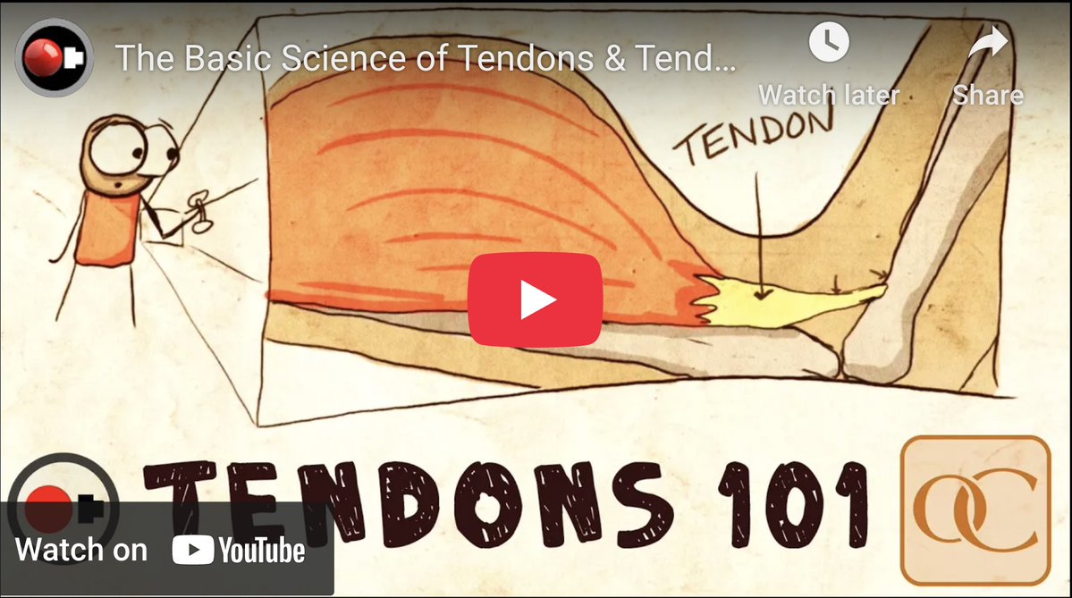 Douglas Green tweet media