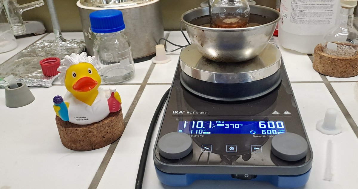 Carina Crucho tweet media