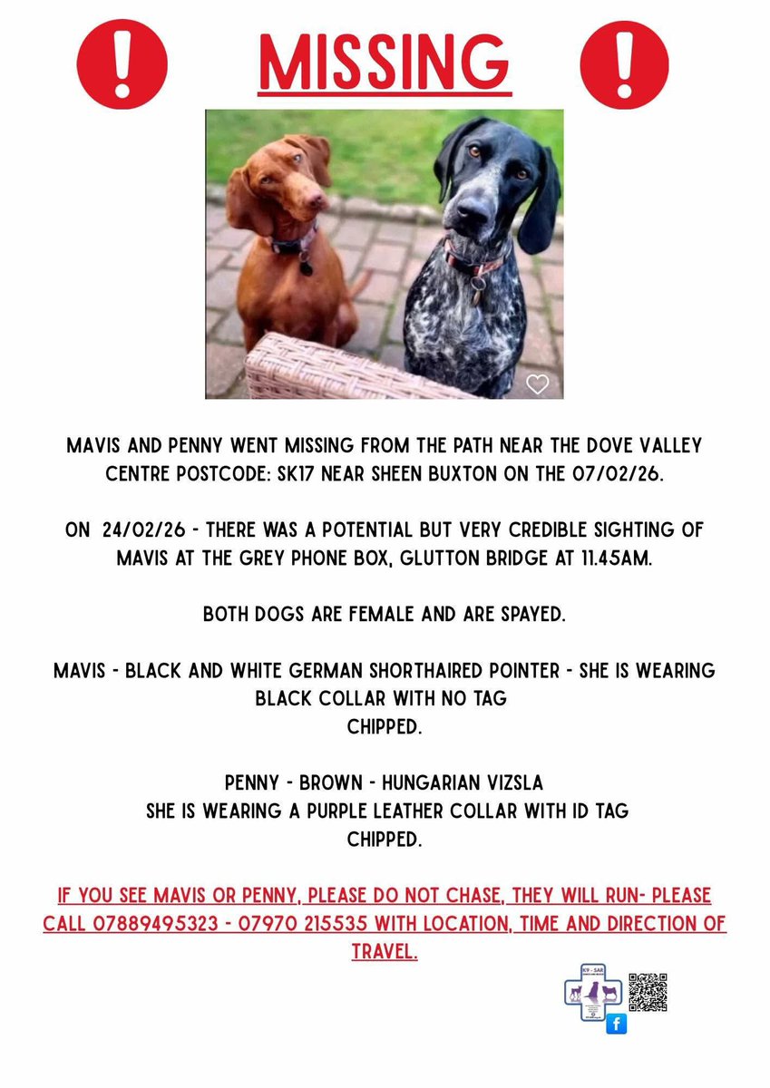 Rosie Doc tweet media