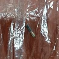 🟤 Mersin’de belediyeye ait aşevinden kavurma yiyen bir vatandaş, tabağında yarış atlarına takılan elektronik kimlik çipini fark etti.

▪️ Laboratuvar analizleri sonucu tek tırnaklı eti olduğu doğrulanan aşevinde 213 kg et imha edildi.