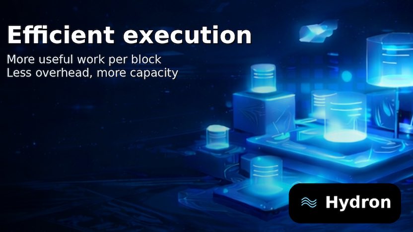 Hydron focuses on efficient execution so more useful work fits into each block. Less overhead means more room for real applications.