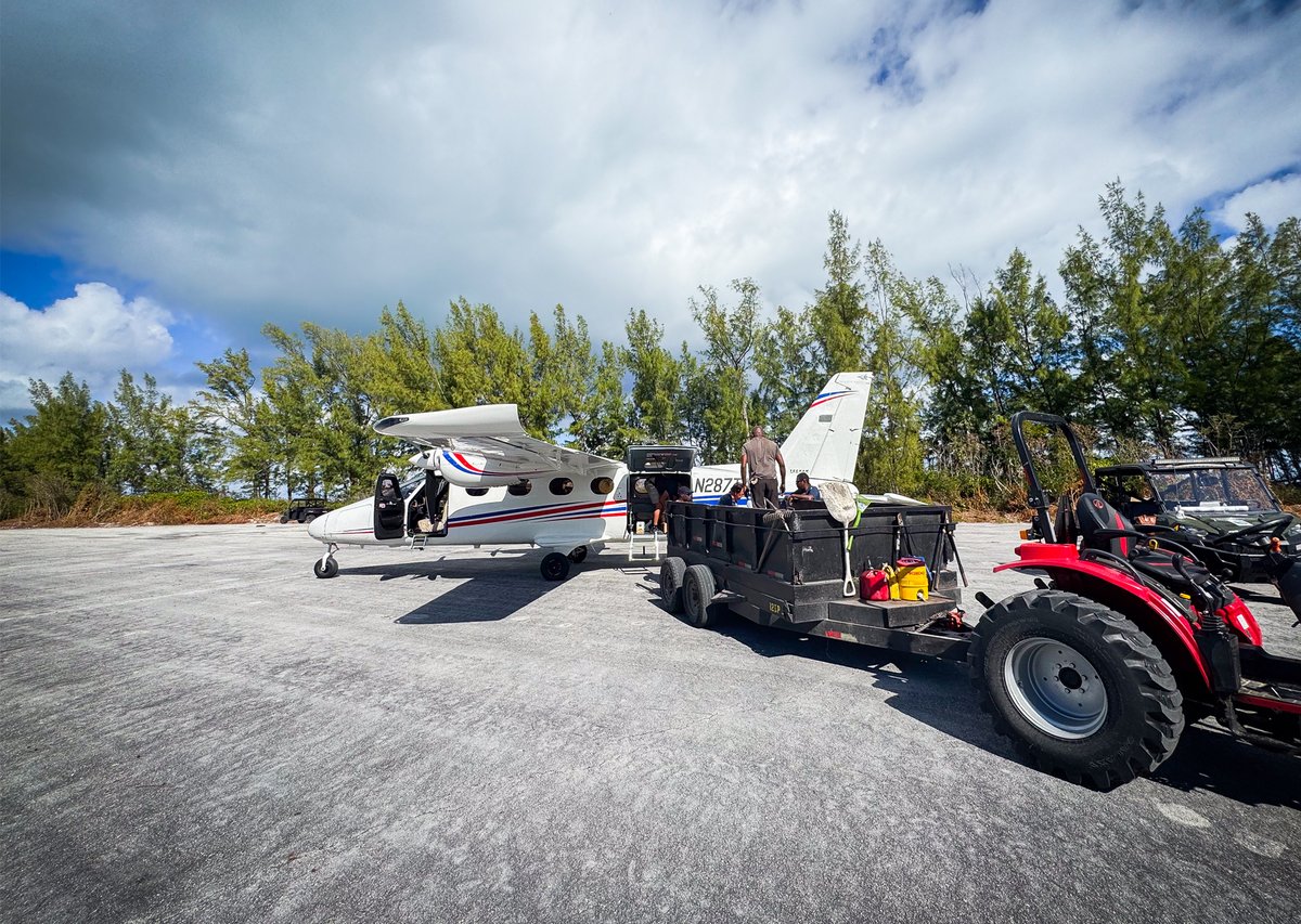 Tecnam Aircraft tweet media