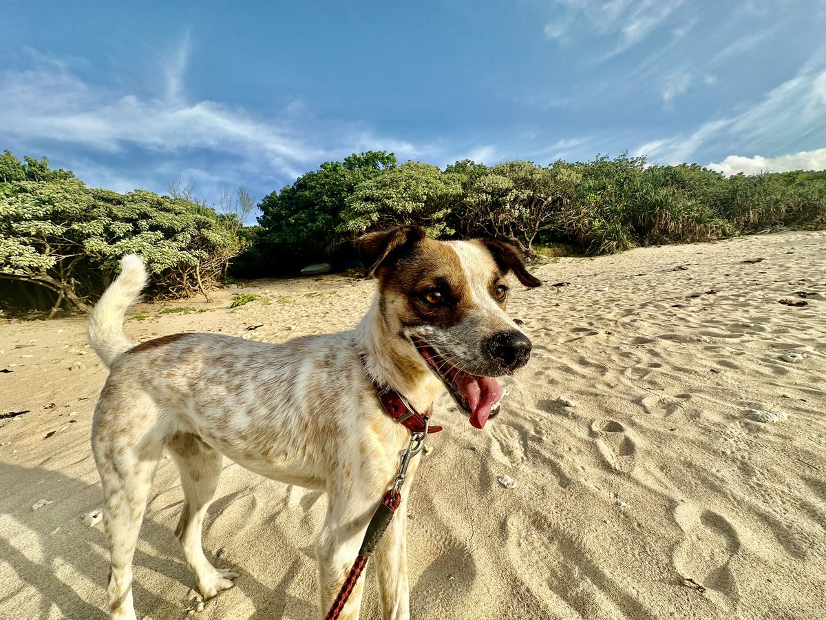 Giles Goddard tweet media