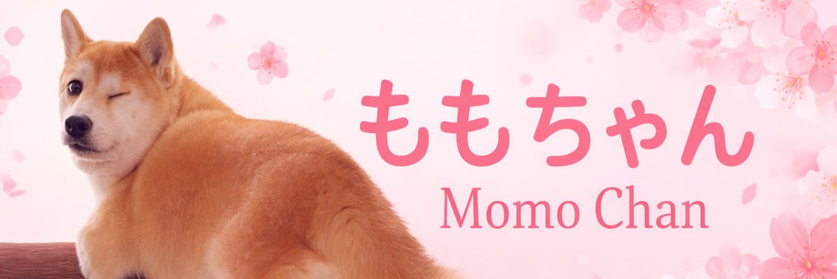 jene_senders's tweet photo. So I saw a dev launched the wrong name momonosekaiii $Momo where her name is actually Momo-Chan and in Japanese it’s ~ ももちゃん

Remember $Punch , he also has a Japanese name in Japanese. 

https://t.co/7zoGWRuQVX

https://t.co/BDm6GkeIgg

https://t.co/IekjAM57CE

EV768ADWnFpEz7CkqXN3n2kgWxppjVp3XFdtLQHFpump