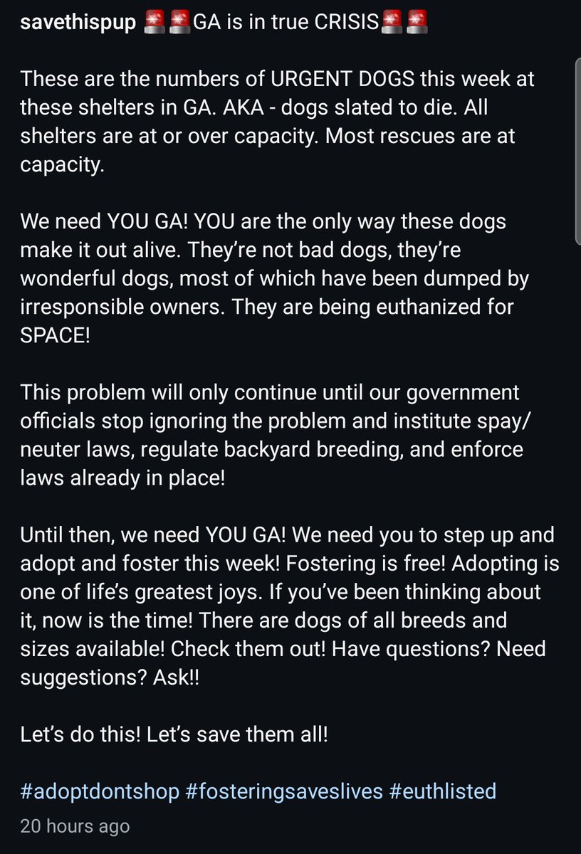 8415_n's tweet photo. #Georgia #GA #Atlanta #atlantaga #atl 
Your pups need your #urgent help in counties:
#Fulton
#DeKalb
#Polk
#Rockdale
#Clayton
#Henry 
#Gwinnett
#Walton
#Hall
#Cobb
#Douglas
#Carroll

#dogrescue #help #boost #viral #share #savealifetoday #fosterneeded #FostersSaveLives #bff https://t.co/QZ9dxRW0dh