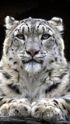 ヒラトン | 副業と投資の二刀流 tweet media