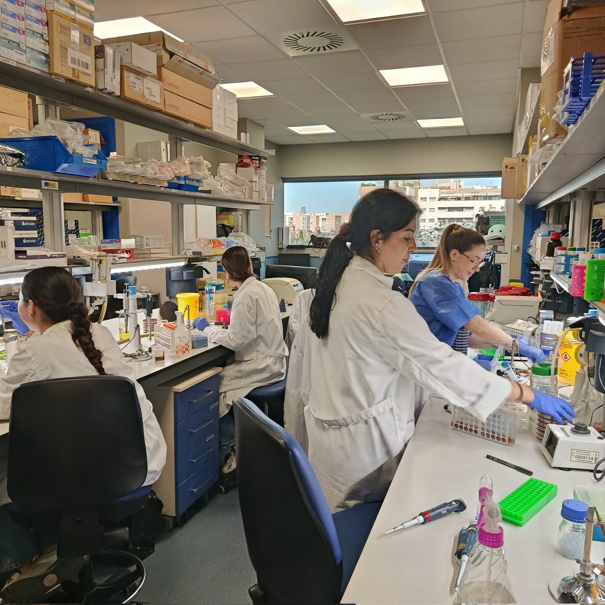 Meniapi26's tweet photo. Un día de trabajo en el laboratorio 208 del IBiS @ibis_sevilla @PilarSS99 @luciacr_01 @Lauraposaelas15 @lunaanicolass https://t.co/oDoMScT4qr