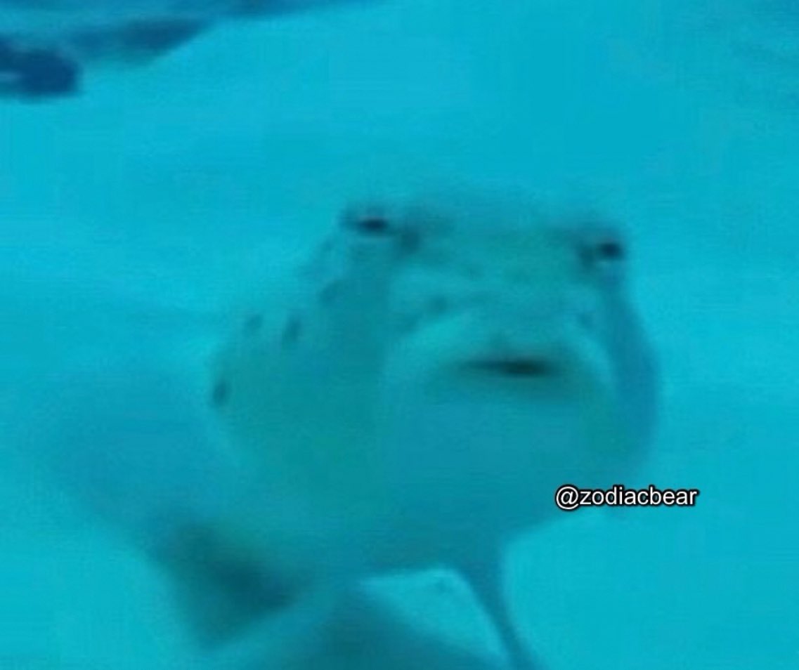 Pascal👻🎃 tweet media